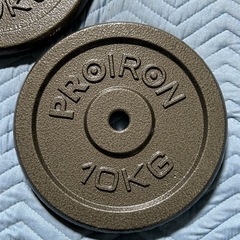 99a PROIRON ダンベル プレート ダンベル おもり追加 純鋳鉄 10kg 2個セット (穴径25mm)  y072814aの画像