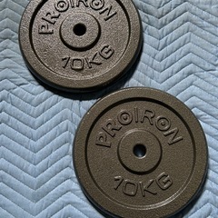 99a PROIRON ダンベル プレート ダンベル おもり追加 純鋳鉄 10kg 2個セット (穴径25mm)  y072814aの画像