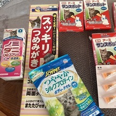 猫ちゃんグッズ
の画像