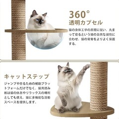 おしゃれ キャットタワー 突っ張り 木製 キャットツリー 木登りタワーの画像