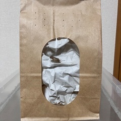 ヨーロッパイエコオロギMサイズ(約1,5cm前後)100匹の画像