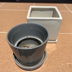  植木鉢 プランター　高さ10〜12㎝　の画像