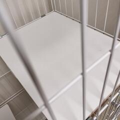 美品　ネコ　檻　キャットケージ　ケースの画像