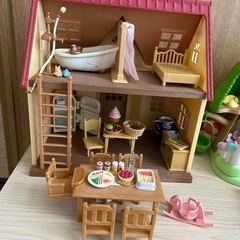 シルバニアの画像