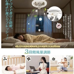 シーリング　ライト　ファン　の画像