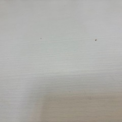 折りたたみローテーブル　ホワイトの画像