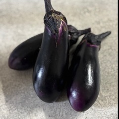 採れたてナス🍆の画像
