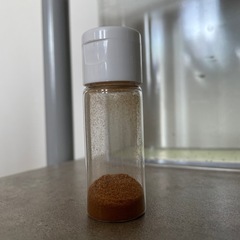 ボトルアクアリウム
の画像