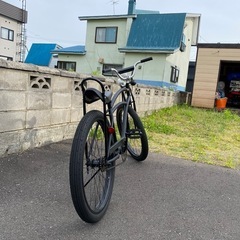 ビーチサイクル
の画像