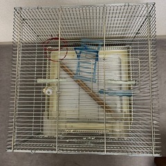 鳥かごの画像