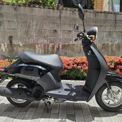ホンダ トゥデイ 50cc 原付 バイクの画像