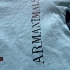 Armaniの画像