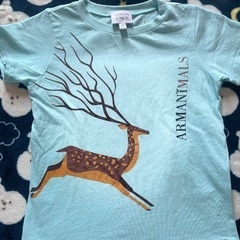 Armaniの画像