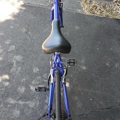 Giosの画像