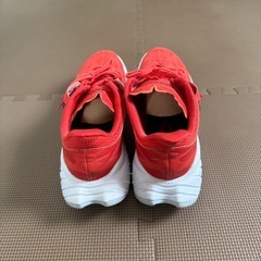 ホカオネオネ　カーボンX 28cmの画像