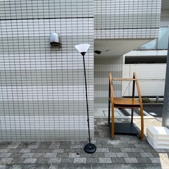デュセックの画像