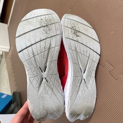 ホカオネオネ　カーボンX 28cmの画像