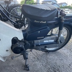 綺麗ですの画像