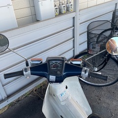 綺麗ですの画像