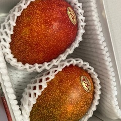 家庭用マンゴー　2玉1キロの画像