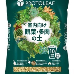 受付終了！ フィカスベンジャミンと観葉植物の土の画像