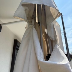 お庭　パラソル　の画像