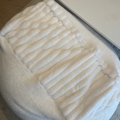 人をダメにするクッションの画像