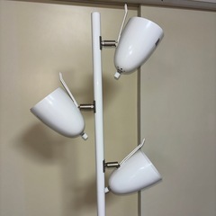 ライトの画像