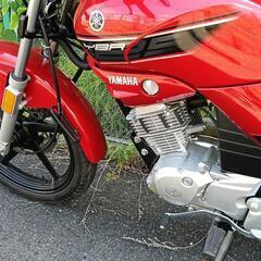 YAMAHAybr125めっちゃきれいの画像