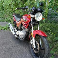 YAMAHAybr125めっちゃきれいの画像