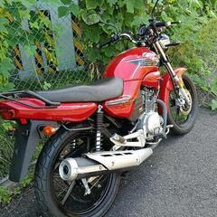 YAMAHAybr125めっちゃきれいの画像