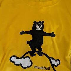 メンズTシャツの画像