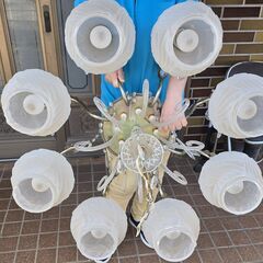 豪華なシャンデリアの画像