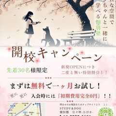 【開校キャンペーン実施中】★先着30名限定★まずは無料で一ヶ月お試しできます！おしゃれな空間でワンちゃんと一緒に学べる個別学習塾の画像