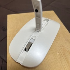 マウスの画像
