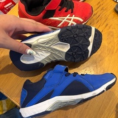 19センチの画像