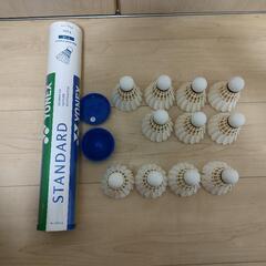 ※決定　バドミントン シャトル 　YONEX／GOSEN／VISION QUESTの画像