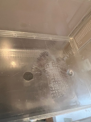 ハムスター　飼育　用品　セット　ケージ　ハウス　滑車　回し車  冷温庫　餌入り　ヒーター　トンネル　水入り　ボトル　GEX 　