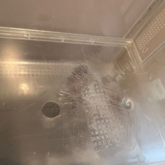 ハムスター　飼育　用品　セット　ケージ　ハウス　滑車　回し車  冷温庫　餌入り　ヒーター　トンネル　水入り　ボトル　GEX 　の画像
