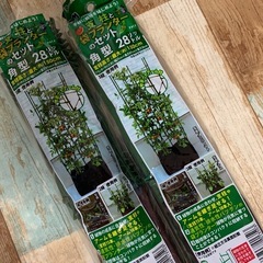 プランターセット　家庭菜園の画像