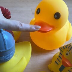 ひよこ7体　の画像