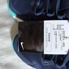NIKE スニーカー 19cm 新品未使用 元値6050の画像
