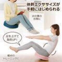 0728-071 【NEEDS LABO】体幹ゆらゆらバランスクッションの画像