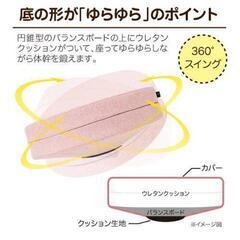 0728-071 【NEEDS LABO】体幹ゆらゆらバランスクッションの画像