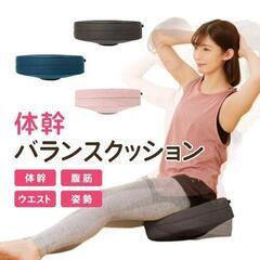 0728-071 【NEEDS LABO】体幹ゆらゆらバランスクッションの画像