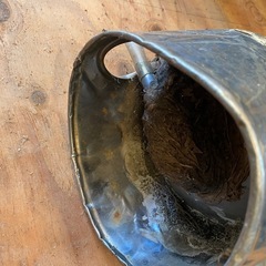 水盛菅の画像