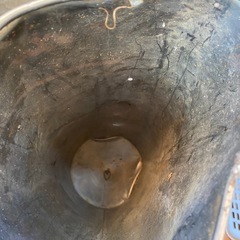 水盛菅の画像