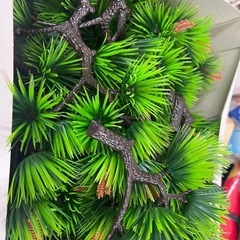 オードブルなどの飾りの画像