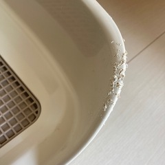 犬トイレの画像