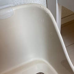 犬トイレの画像